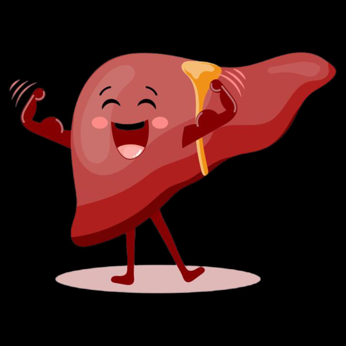 liver-health