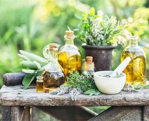 Medicinal Herbs and Plants for diabetes treatment
