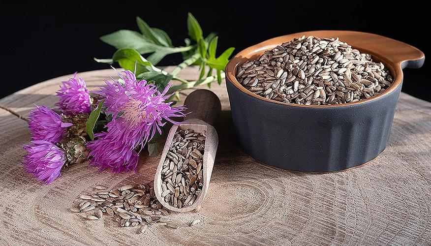 Best herbs and spices for liver health