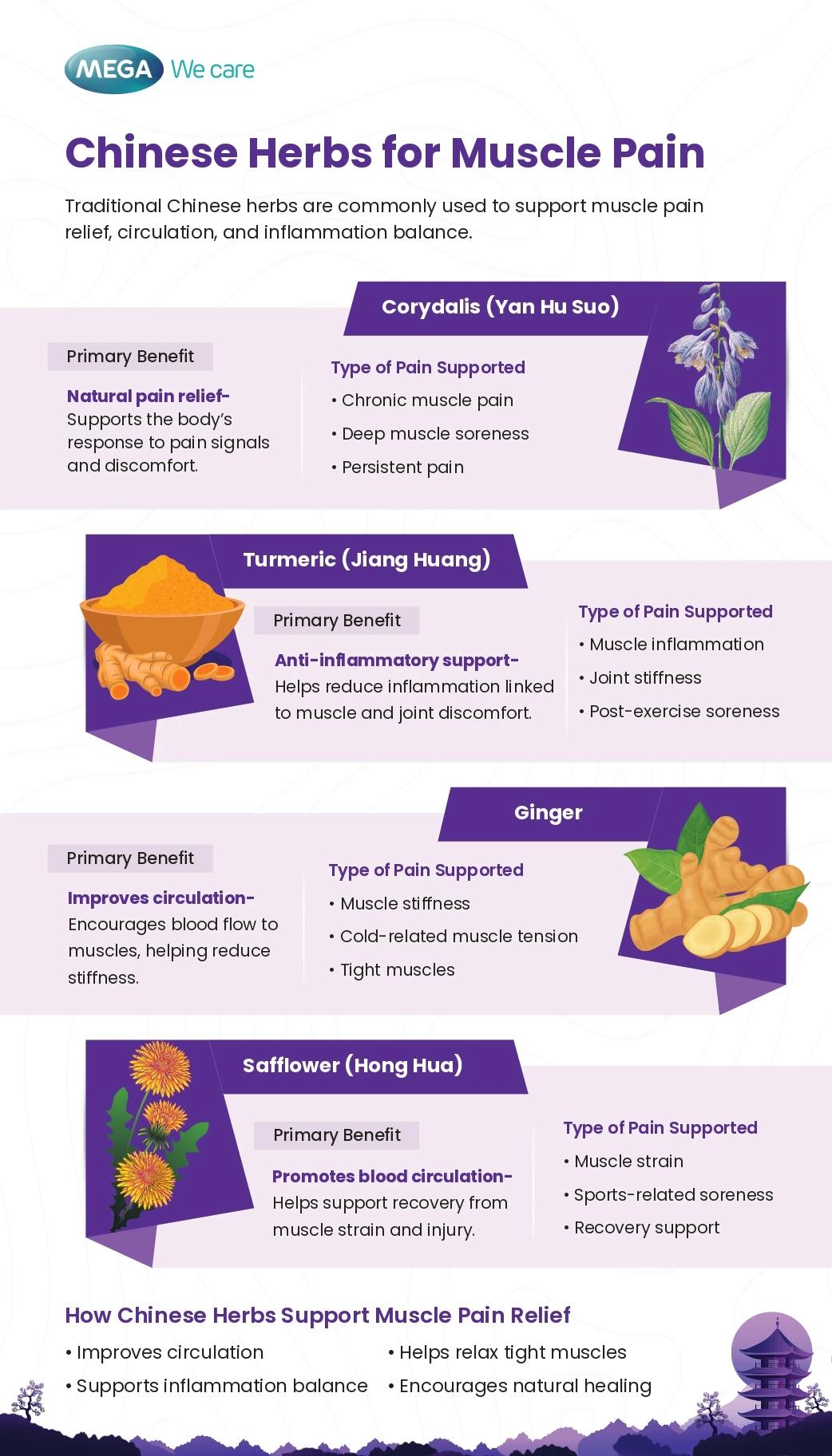 chinese herbs for muscle pain relief infographic turmeric ginger safflower corydalis benefits