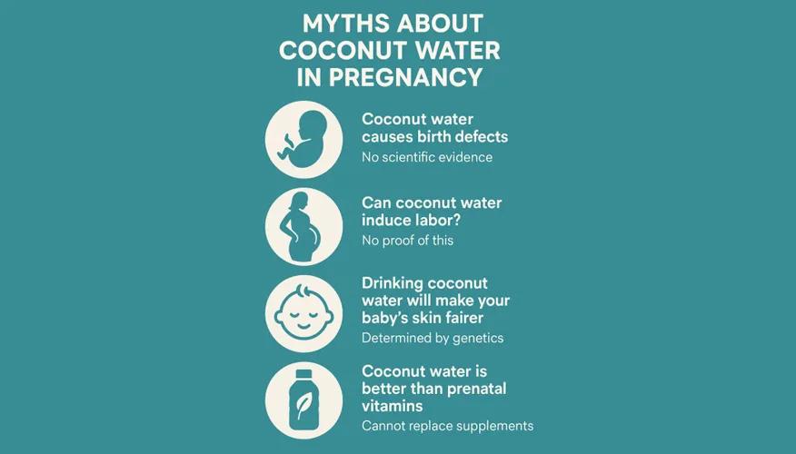 Coconut water in pregnancy: myths and facts