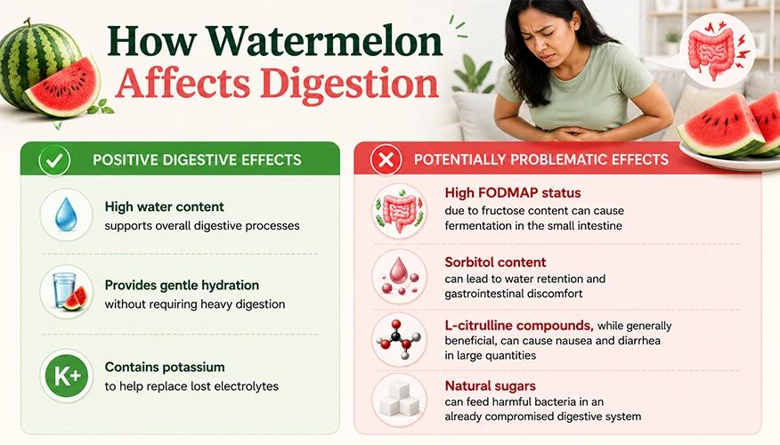 How watermelon affects digestion infographic showing positive effects and problematic FODMAP effects