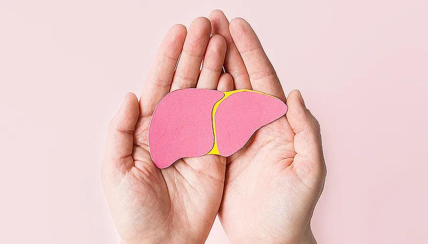 Importance of liver health
