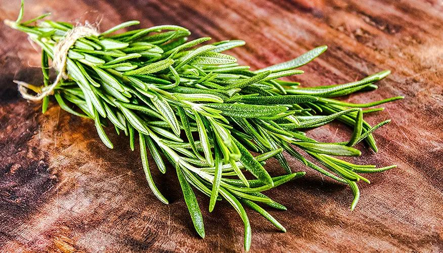 Rosemary