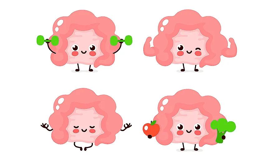 The connection between exercise and gut health