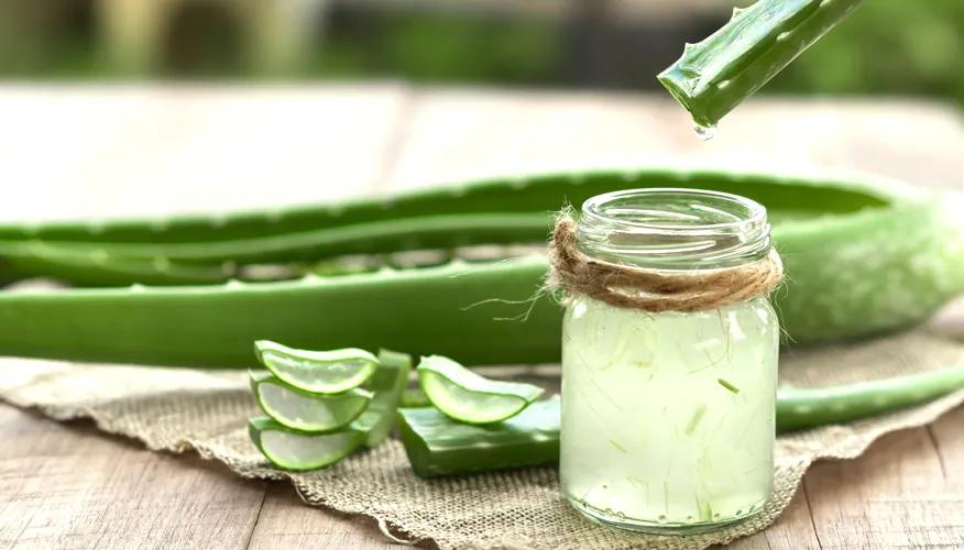 How to use aloe vera for oily skin?