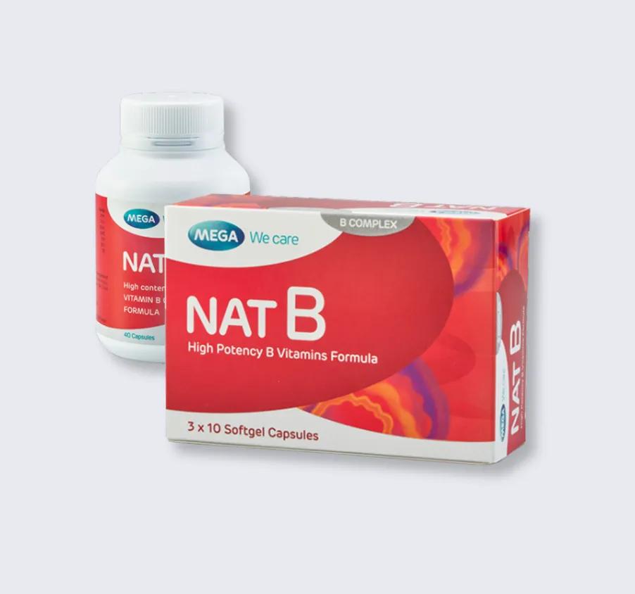 NAT B 2