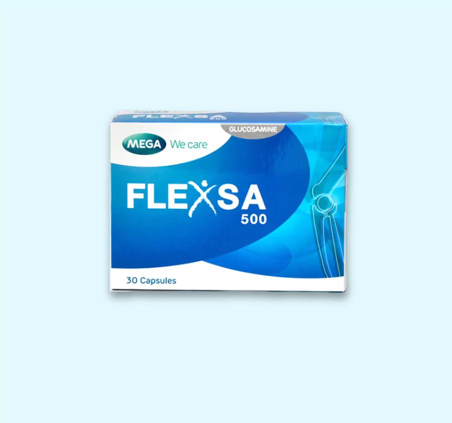 FLEXSA 500_1