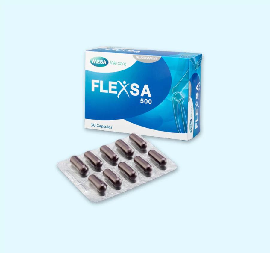 FLEXSA 500_2