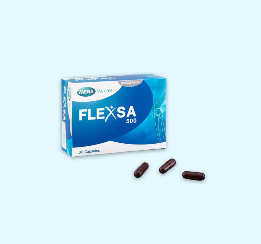 FLEXSA 500_3
