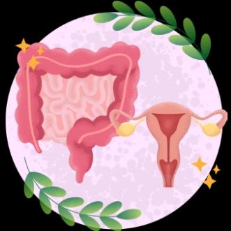 Healthier Gut And Vagina1