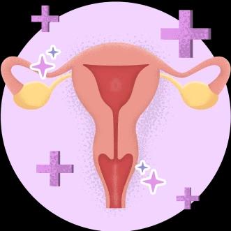 Improved Vaginal Health 1
