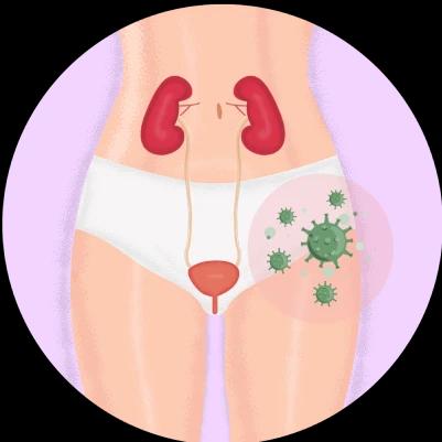 https://cdn.megawecare.com/Infection Prevention