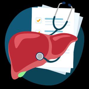 Liver Risk Assessment Calculator