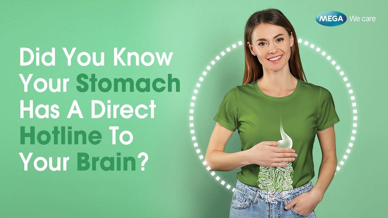 Did you know your Stomach Has A Direct Hotline To Your Brain