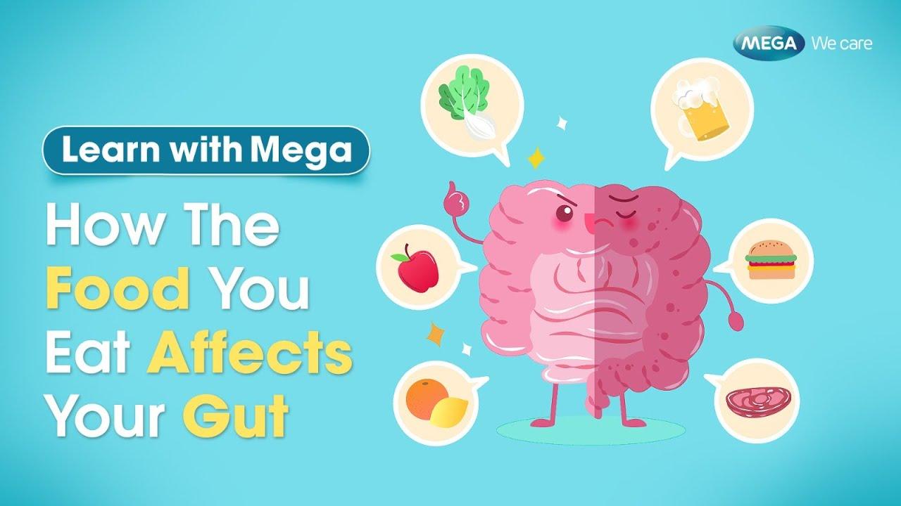 Know Your Gut: Essential Facts for Better Digestive Health