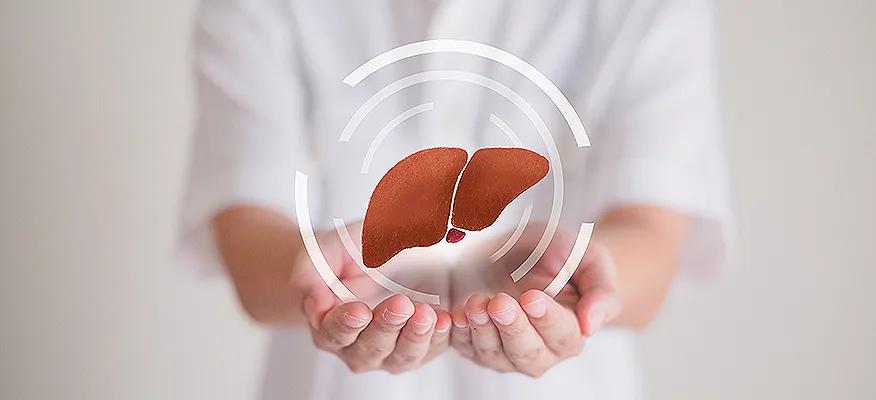 1. Improved Liver Health