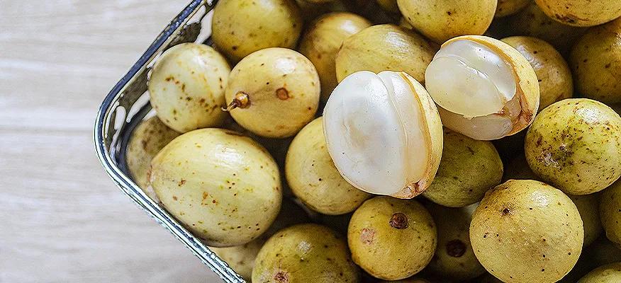 Lanzones and Diabetes: Health Insights and Safety
