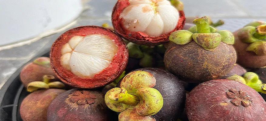Understanding Mangosteen Benefits for Diabetic Health
