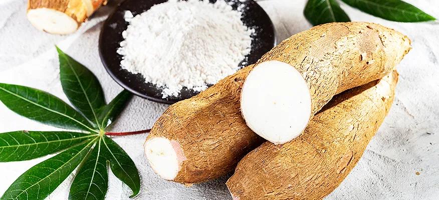 Understanding cassava: A guide for diabetics