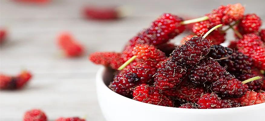 Unveiling Mulberry's Skin Benefits: Glow, Brighten, and Clear Acne