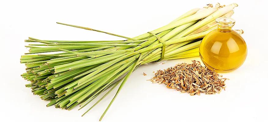 Lemongrass: A Natural Boost for Radiant Skin