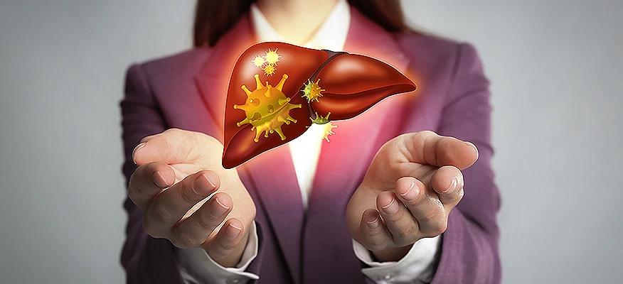 Illustration of liver disease showing an inflamed liver with infection particles held in a woman's hands