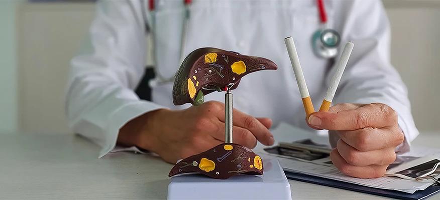 smoking and liver function
