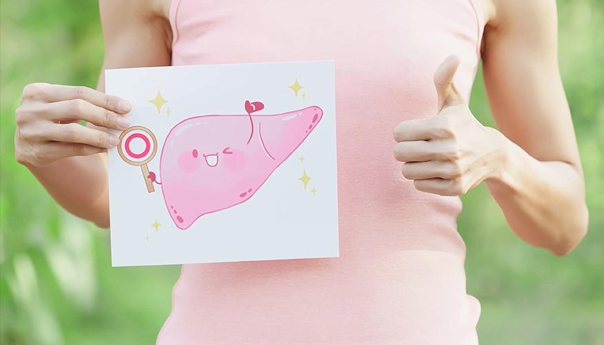 How to reverse fatty liver: Prevention and recovery steps