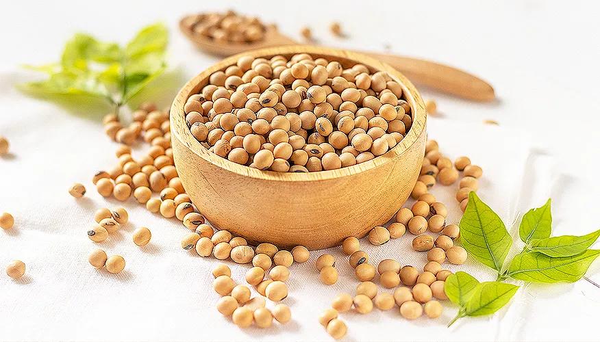 How much soy is safe during pregnancy?