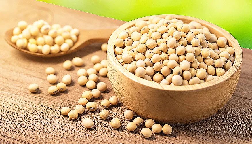 Is soya safe during pregnancy?