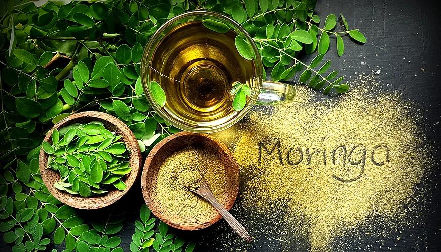 Moringa Tea