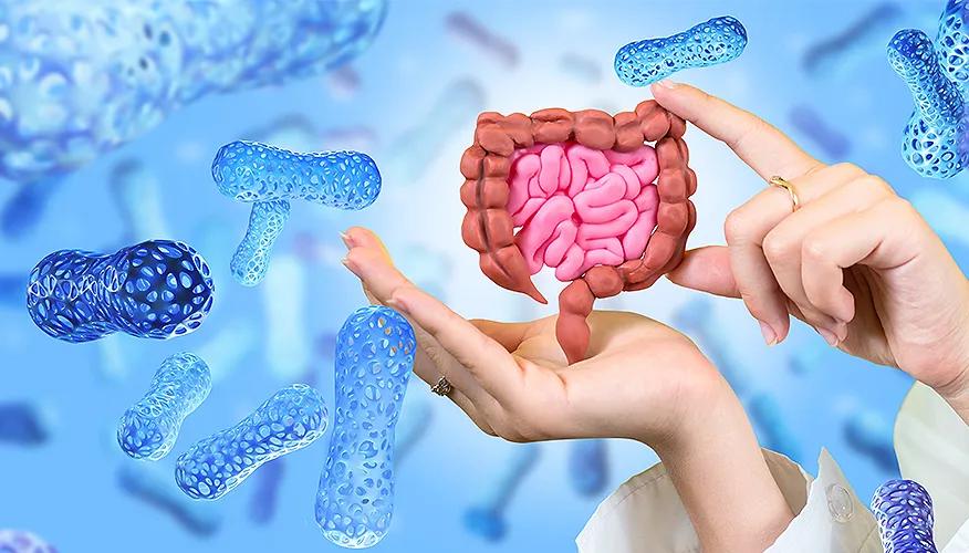 The role of gut health in menopause