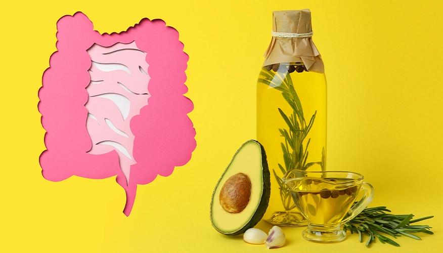 Tips for better digestion using avocado oil