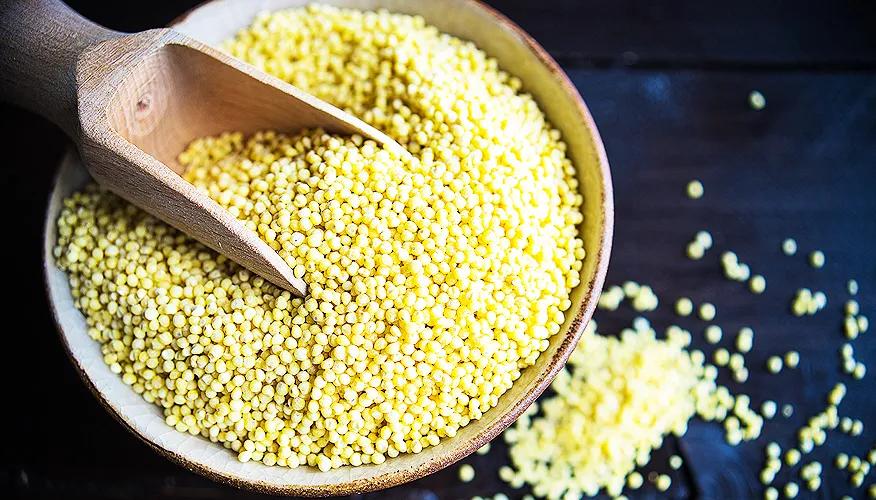 What are millets? And why is everyone talking about It?