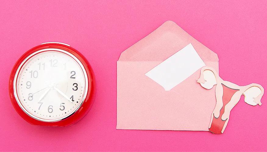What happens during menopause?