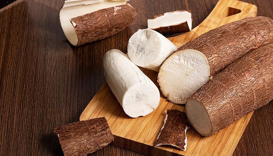 What is cassava?