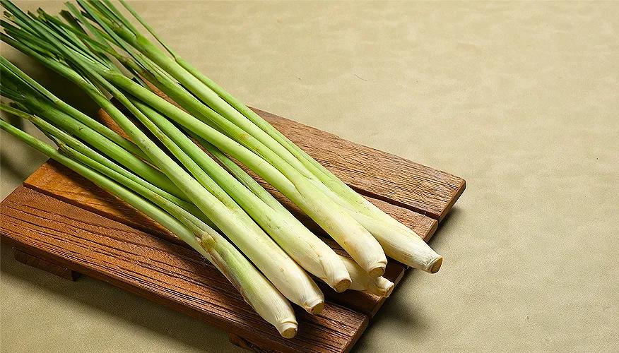 What is lemongrass?