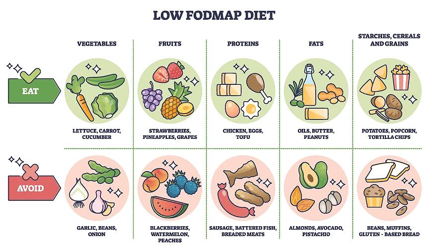 Illustration showing what foods make up for a Low Fodmap Diet