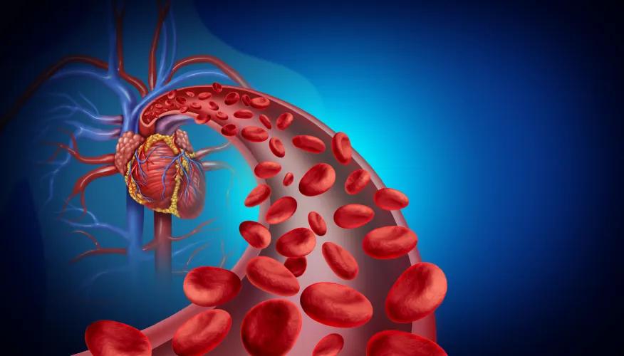 Why blood circulation matters
