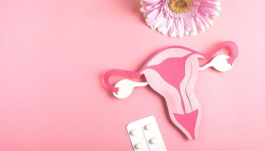 Your essential guide to menopause