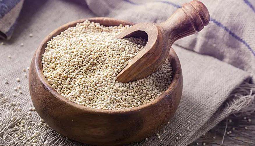 Quinoa – the protein powerhouse