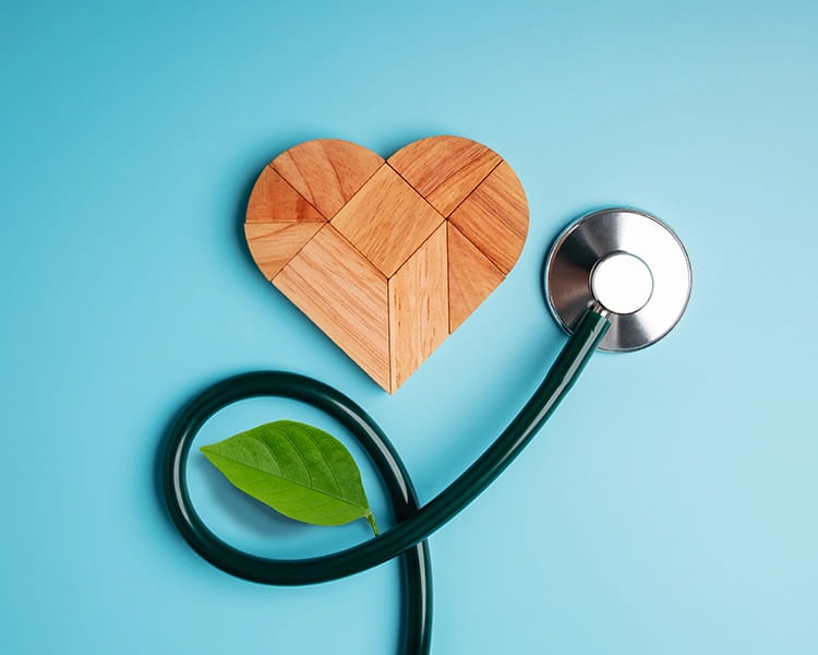 Preventing Non-Communicable Diseases: A Lifestyle Approach