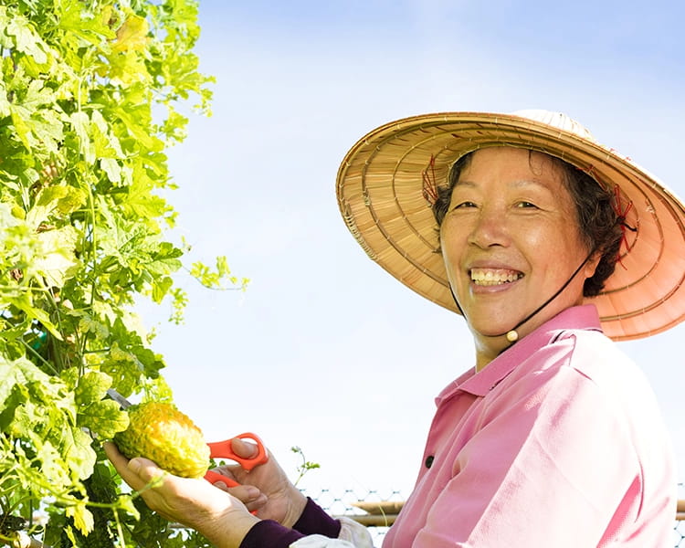Surprising Health Benefits Of Bitter Gourd
