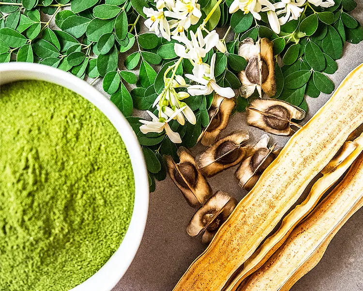 medicinal plants used for diabetes