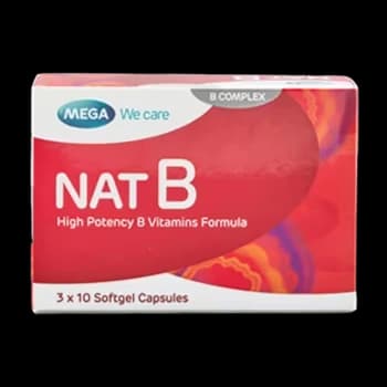 NAT B